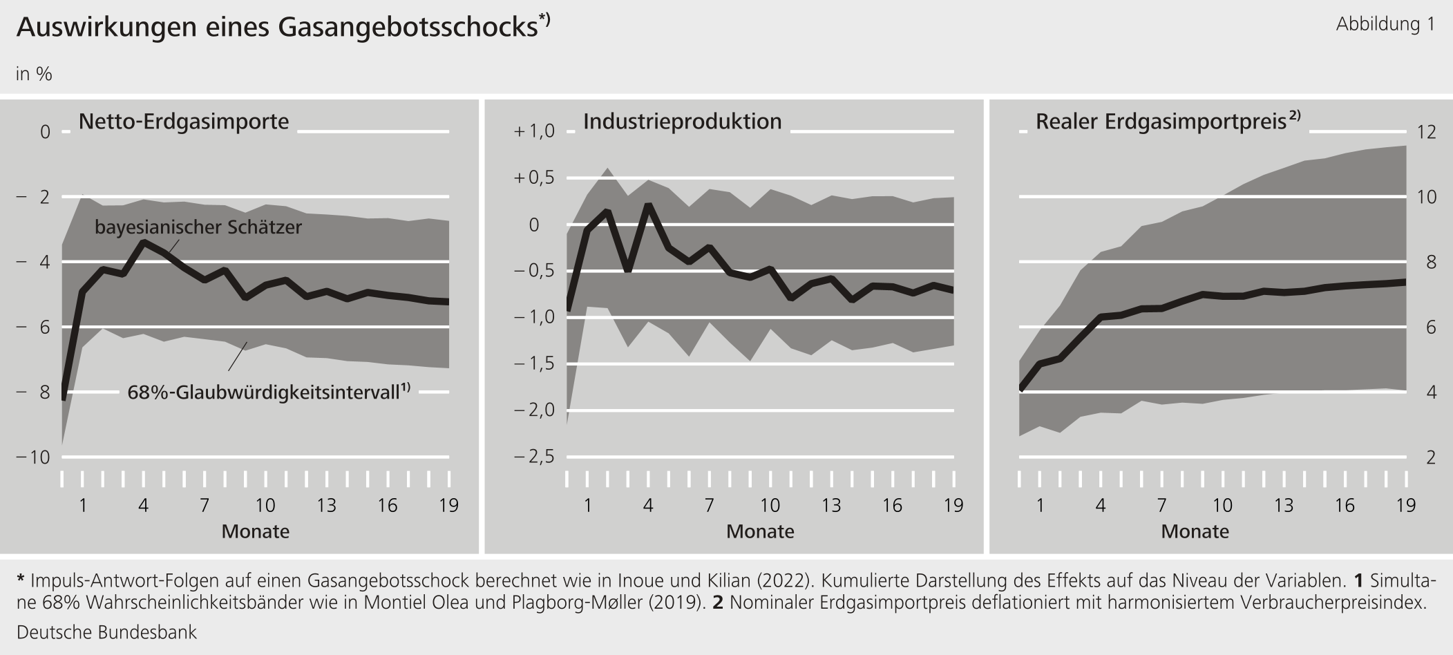 Abbildung 1: Auswirkungen eines Gasangebotsschocks