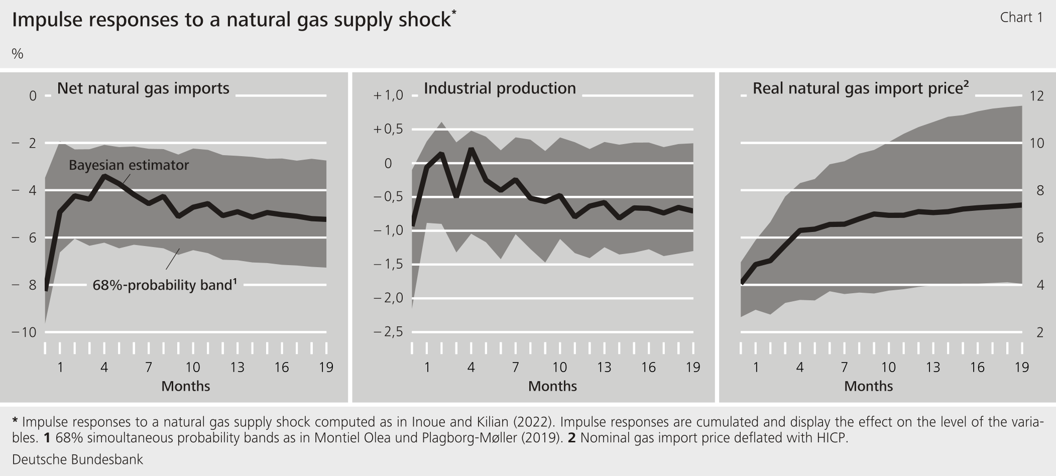 Figure 1: Impulse responses to a natural gas supply shock