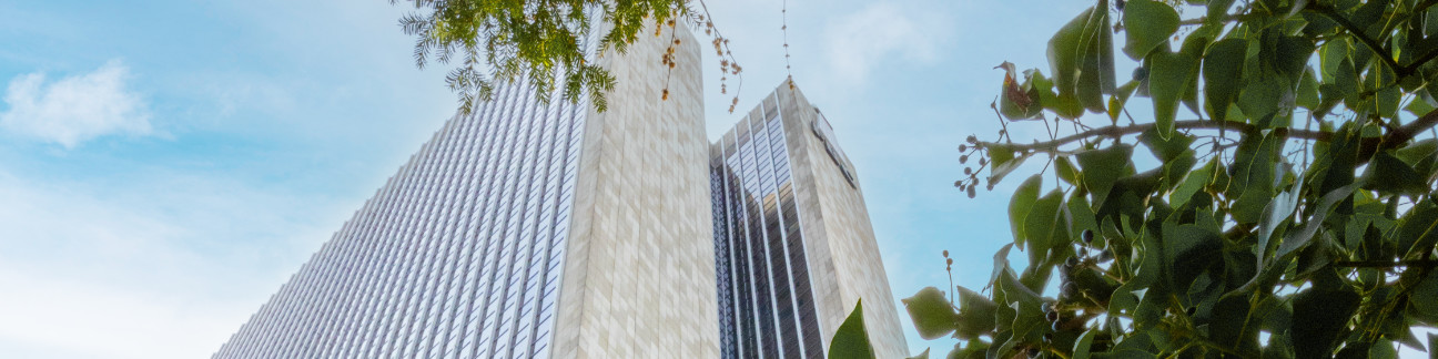 Green Finance ©Sophie Glombik