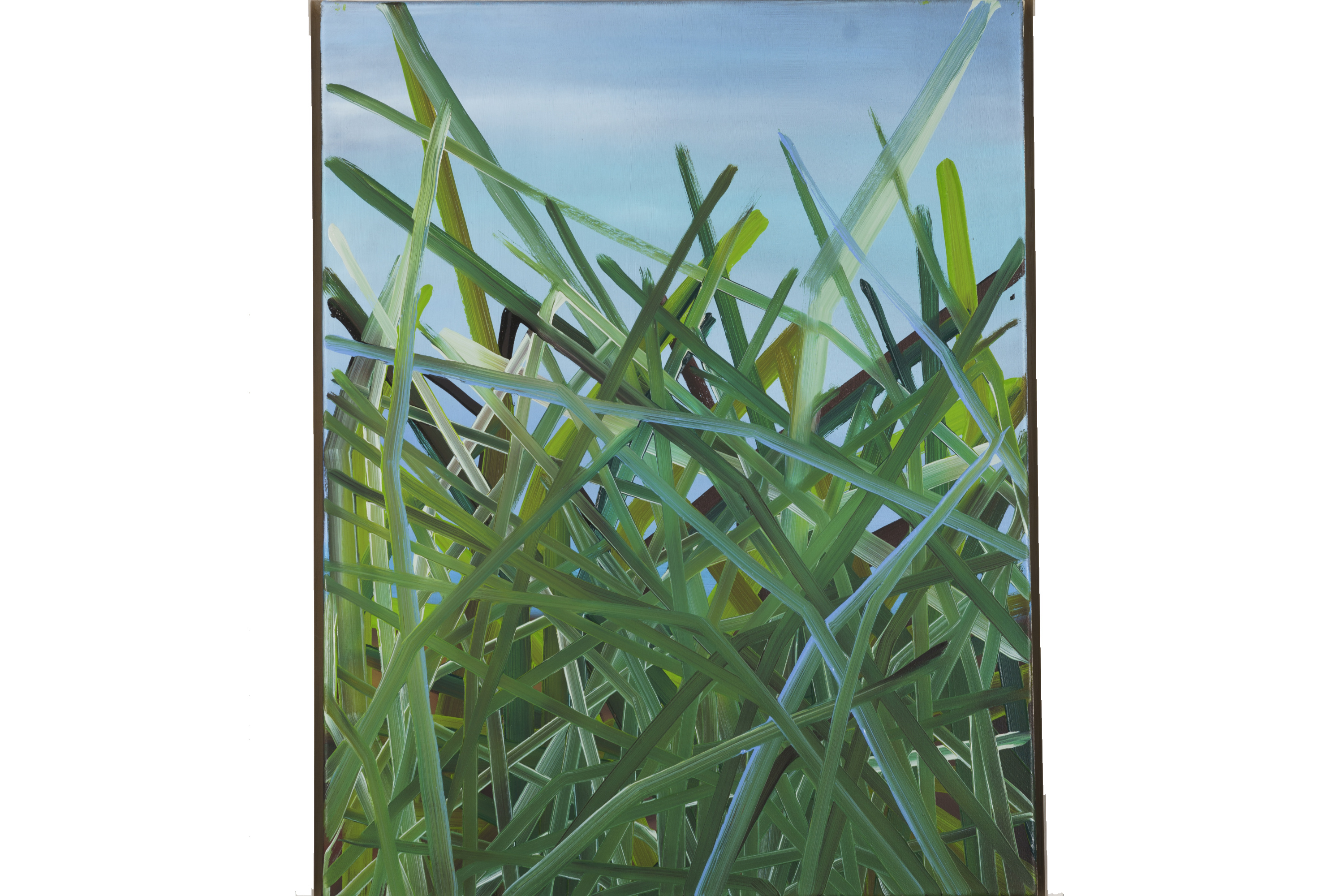 Sophia Schama, Gras 139, 2006 ©Martin Jehnichen